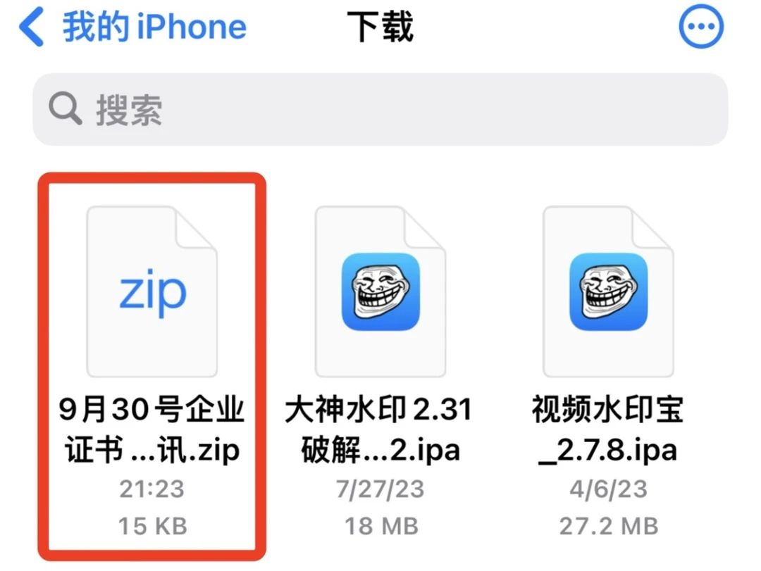 图片[3]-证书丨免费企业证书已更新，iOS自签工具20240131-玫吧